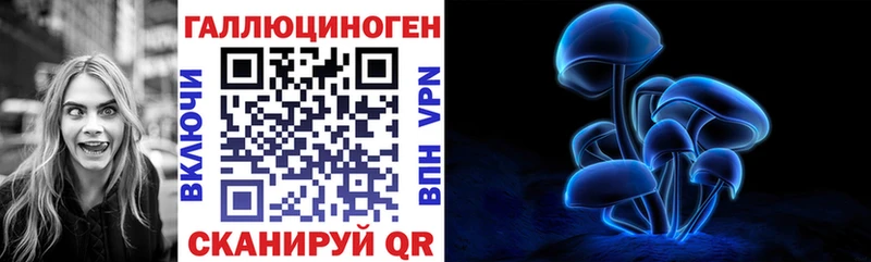 Псилоцибиновые грибы Psilocybe  Навашино 